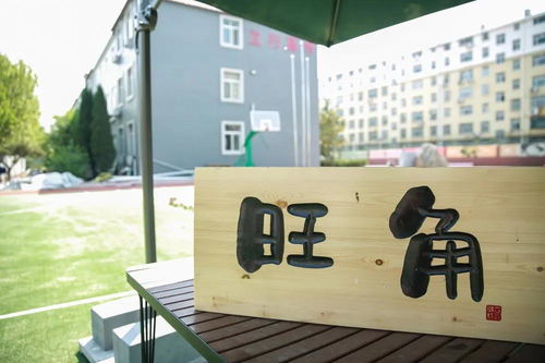 东营艺术生文化课辅导 理性选择与科学备考——以济南立行学校科技指导为例